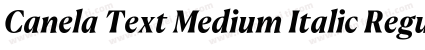 Canela Text Medium Italic RegularVe字体转换